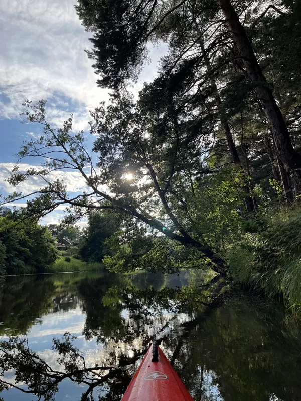 Kajaku noma